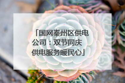 国网秦州区供电公司：双节同庆 供电服务暖民心