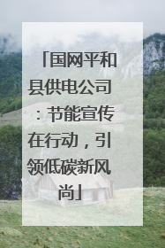 国网平和县供电公司：节能宣传在行动，引领低碳新风尚