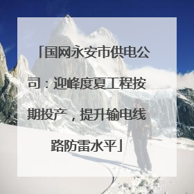 国网永安市供电公司：迎峰度夏工程按期投产，提升输电线路防雷水平