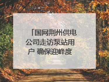 国网荆州供电公司走访泵站用户 确保迎峰度夏用电安全