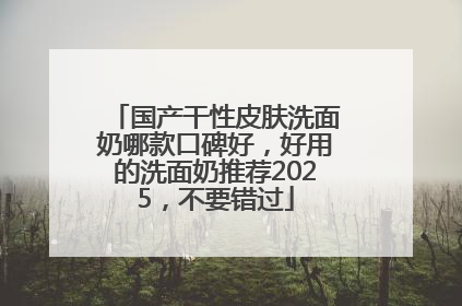 国产干性皮肤洗面奶哪款口碑好，好用的洗面奶推荐2025，不要错过