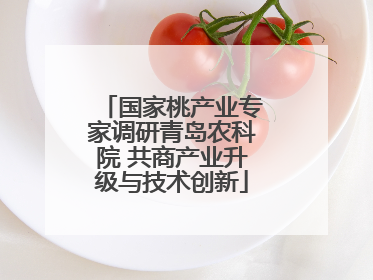 国家桃产业专家调研青岛农科院 共商产业升级与技术创新