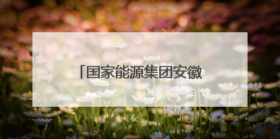 国家能源集团安徽合肥电厂团委：以青春之力践行社会责任与创新担当