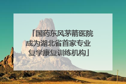 国药东风茅箭医院成为湖北省首家专业复学康复训练机构