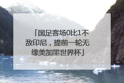 国足客场0比1不敌印尼，提前一轮无缘美加墨世界杯