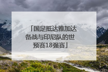 国足抵达雅加达备战与印尼队的世预赛18强赛