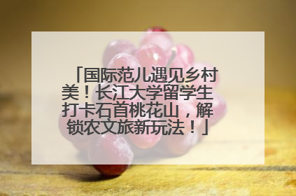 国际范儿遇见乡村美！长江大学留学生打卡石首桃花山，解锁农文旅新玩法！