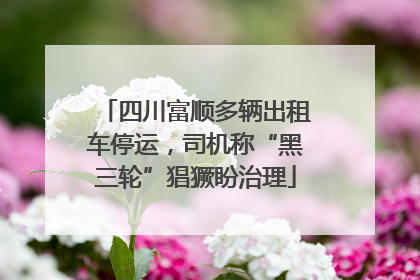 四川富顺多辆出租车停运，司机称“黑三轮”猖獗盼治理