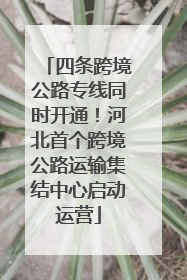 四条跨境公路专线同时开通！河北首个跨境公路运输集结中心启动运营