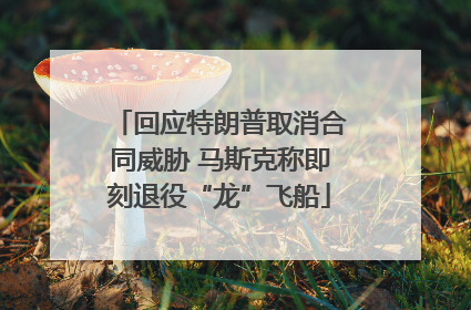 回应特朗普取消合同威胁 马斯克称即刻退役“龙”飞船