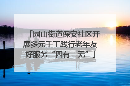 园山街道保安社区开展多元手工践行老年友好服务“四有一无”