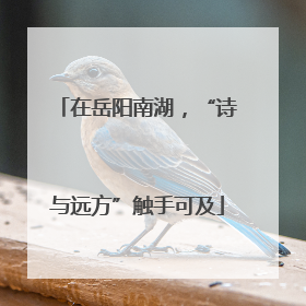在岳阳南湖，“诗与远方”触手可及