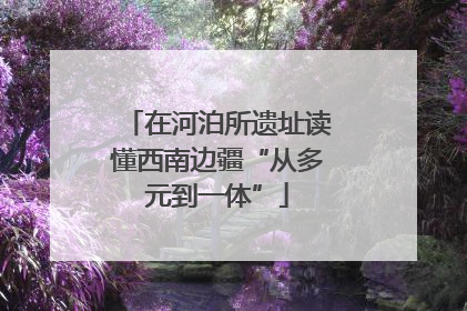 在河泊所遗址读懂西南边疆“从多元到一体”