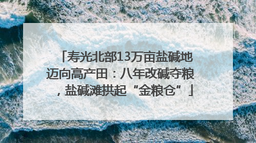 寿光北部13万亩盐碱地迈向高产田：八年改碱夺粮，盐碱滩拱起“金粮仓”