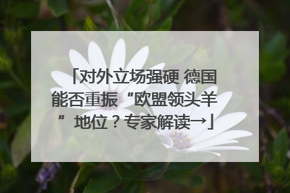对外立场强硬 德国能否重振“欧盟领头羊”地位？专家解读→