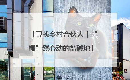 寻找乡村合伙人｜“棚”然心动的盐碱地
