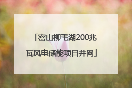 密山柳毛湖200兆瓦风电储能项目并网
