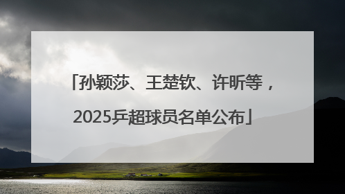孙颖莎、王楚钦、许昕等，2025乒超球员名单公布