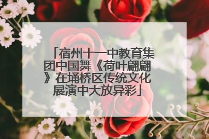 宿州十一中教育集团中国舞《荷叶翩翩》在埇桥区传统文化展演中大放异彩