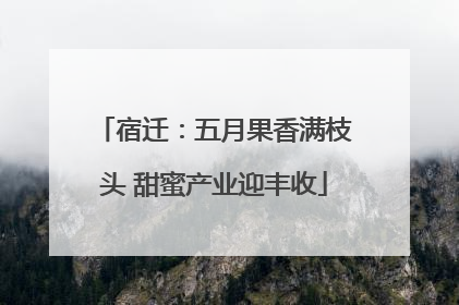 宿迁：五月果香满枝头 甜蜜产业迎丰收