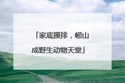 家底摸排，崂山成野生动物天堂