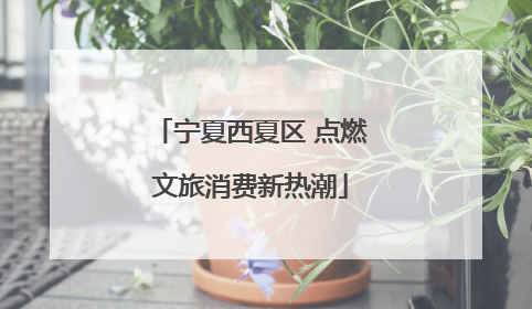 宁夏西夏区 点燃文旅消费新热潮