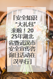 安全知识“大礼包”来啦！2025年湖北省暨武汉市安全宣传咨询日活动在汉举行