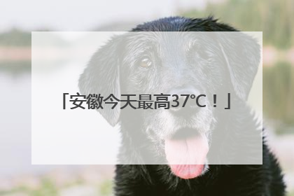 安徽今天最高37℃！