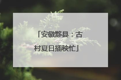 安徽黟县：古村夏日插秧忙