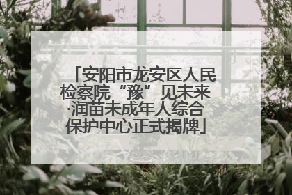 安阳市龙安区人民检察院“豫”见未来·润苗未成年人综合保护中心正式揭牌
