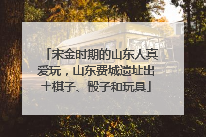 宋金时期的山东人真爱玩，山东费城遗址出土棋子、骰子和玩具