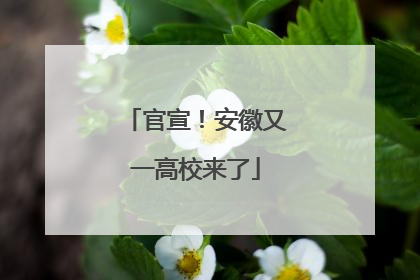 官宣！安徽又一高校来了