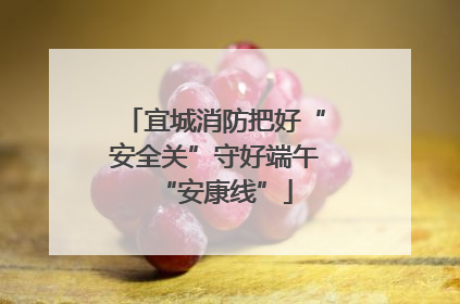 宜城消防把好“安全关”守好端午“安康线”