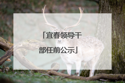 宜春领导干部任前公示
