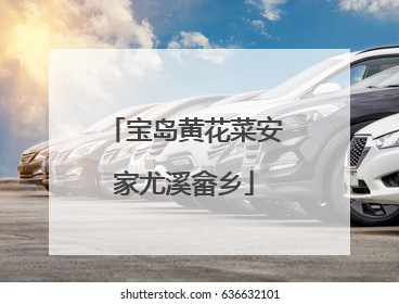 宝岛黄花菜安家尤溪畲乡