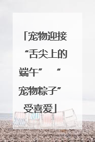 宠物迎接“舌尖上的端午” “宠物粽子”受喜爱