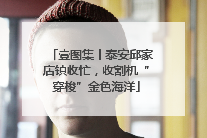 壹图集丨泰安邱家店镇收忙，收割机“穿梭”金色海洋
