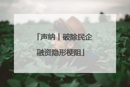 声纳丨破除民企融资隐形梗阻