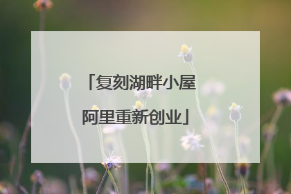 复刻湖畔小屋 阿里重新创业
