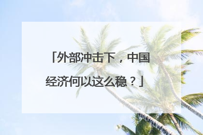 外部冲击下，中国经济何以这么稳？