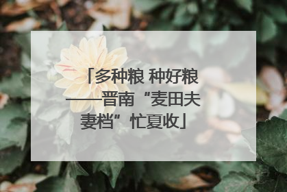 多种粮 种好粮——晋南“麦田夫妻档”忙夏收