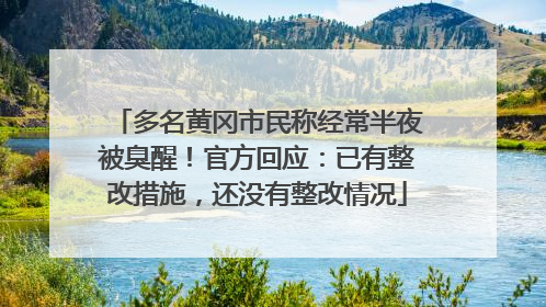 多名黄冈市民称经常半夜被臭醒！官方回应：已有整改措施，还没有整改情况