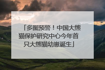 多图预警！中国大熊猫保护研究中心今年首只大熊猫幼崽诞生