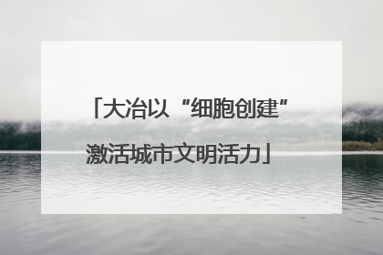 大冶以“细胞创建”激活城市文明活力