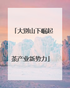 大别山下崛起茶产业新势力