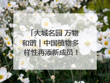 大城名园 万物和谐｜中国植物多样性再添新成员！它只在西藏墨脱