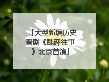 大型新编历史晋剧《魏碑往事》北京首演