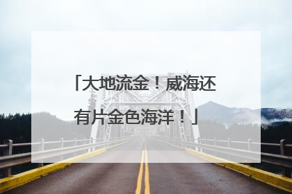 大地流金！威海还有片金色海洋！