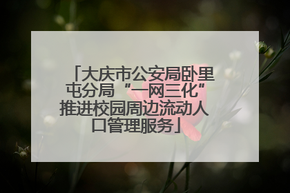大庆市公安局卧里屯分局“一网三化”推进校园周边流动人口管理服务