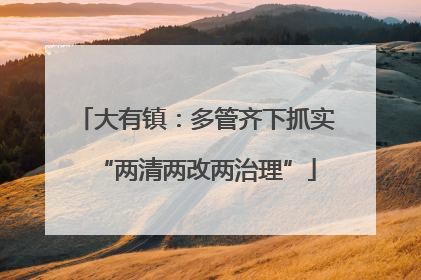 大有镇：多管齐下抓实“两清两改两治理”